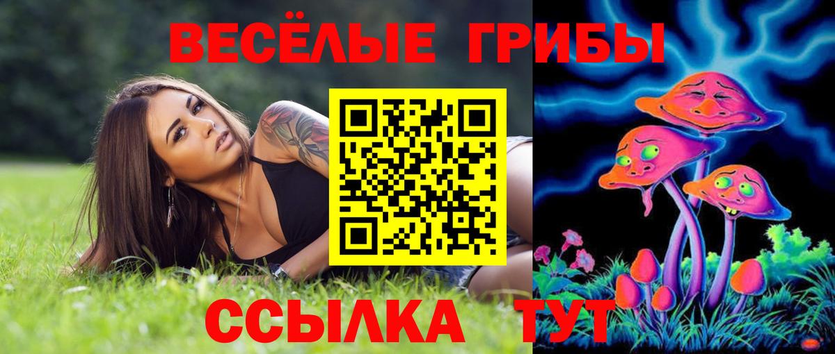 Псилоцибиновые грибы Cubensis  Вход с VPN  купить  сайты  Отрадное 