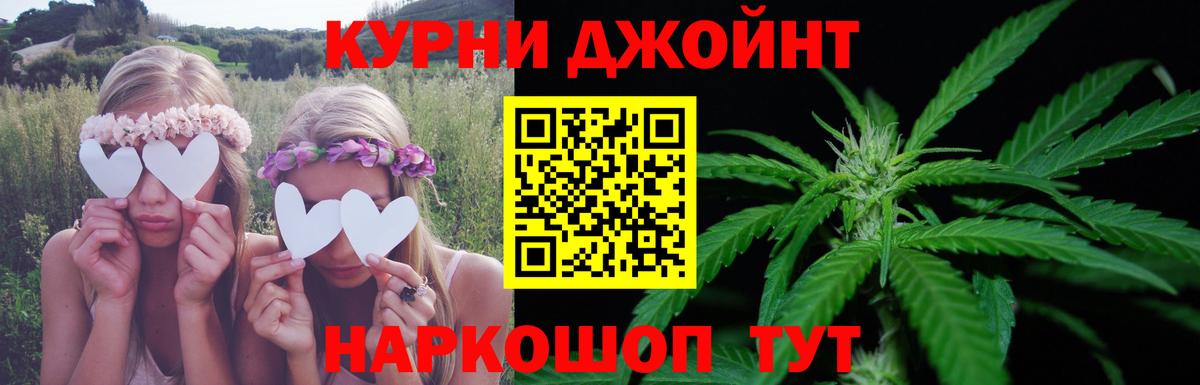 Каннабис OG Kush Отрадное